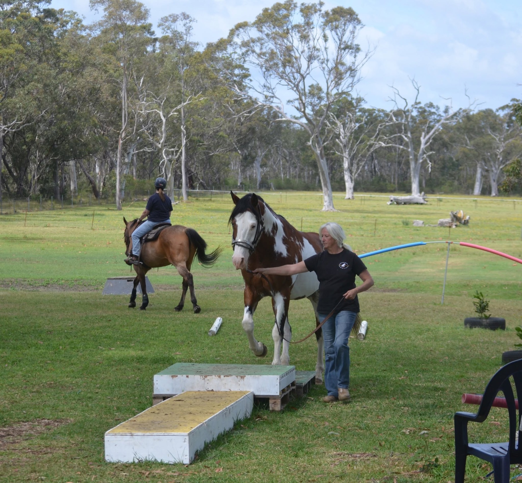A handler leading a horse through an outdoor obstacle course