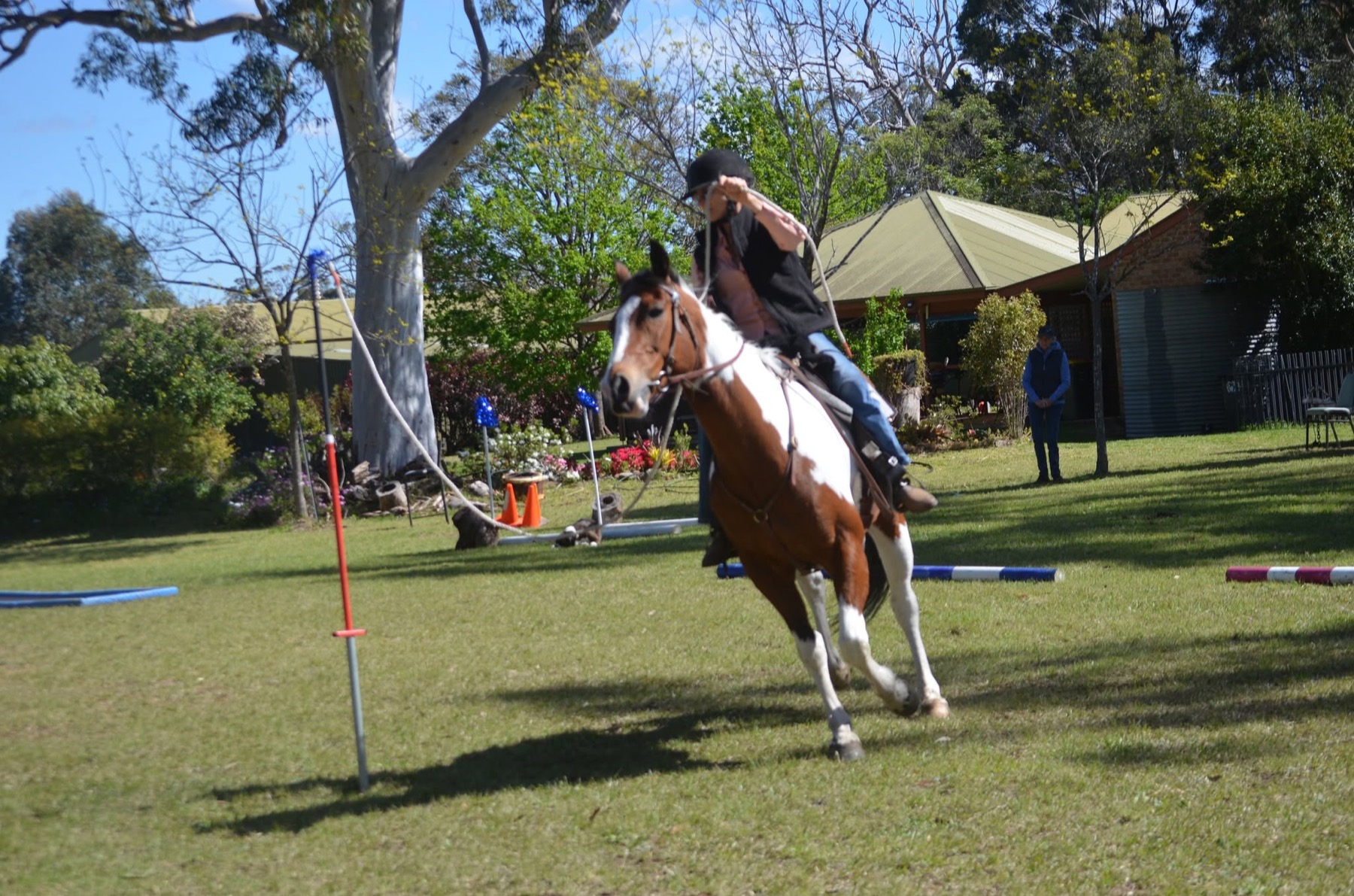 A rider steering a horse through pole obstacles on grass