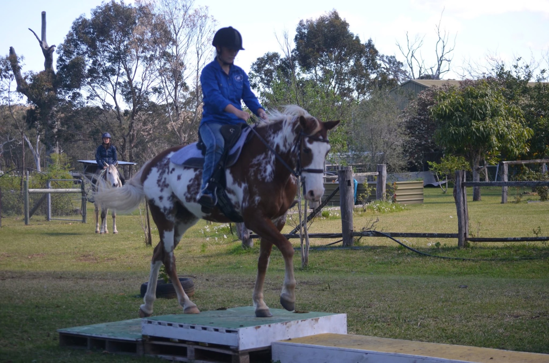 SEORC riders and horses at a club obstacle day